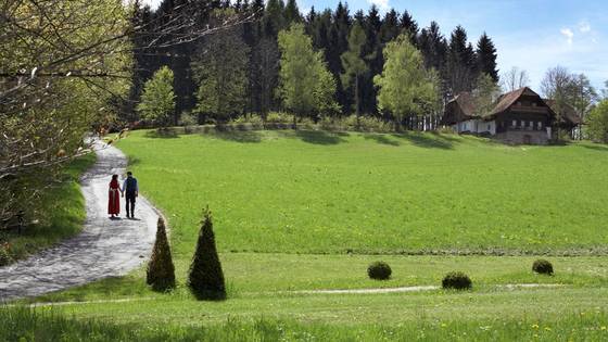Weg in Richtung Gaisrieglhof