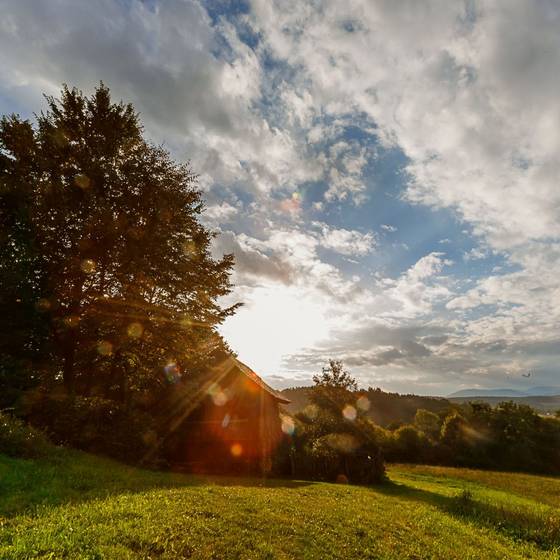 View of the surroundings fromt the Gaisrieglhof (c) Markus Schneeberger