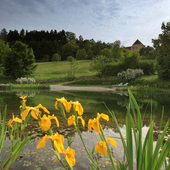 Naturbadeteich im Schlosspark