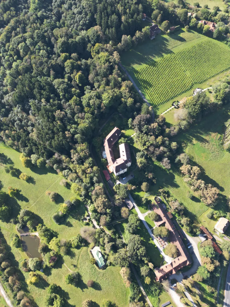 Luftaufnahme von oben: das Schloss inmitten von Park und Wald, daneben der Weingarten, unten die Teichanlage